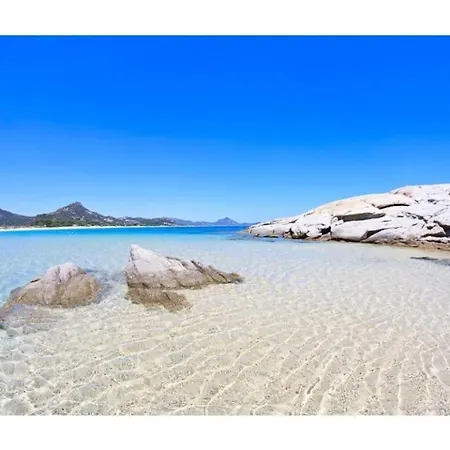 Indipendente A Due Passi Dal Mare Tatil Evi